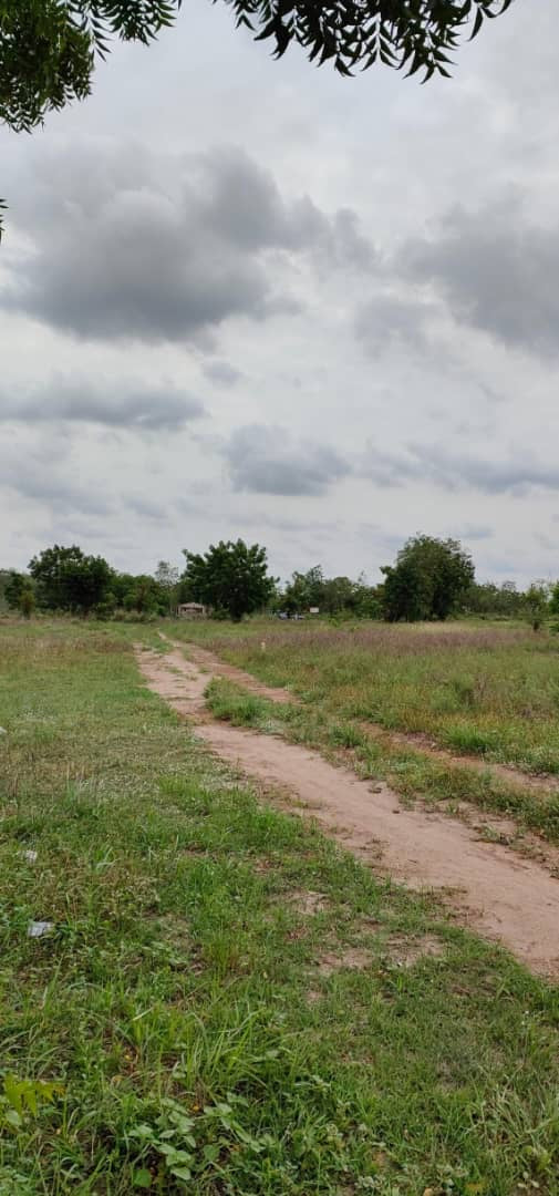 À VENDRE : 55 LOTS DISPONIBLES À ADÉTIKOPÉ TONOUKOUTI (ADOU-GODO)