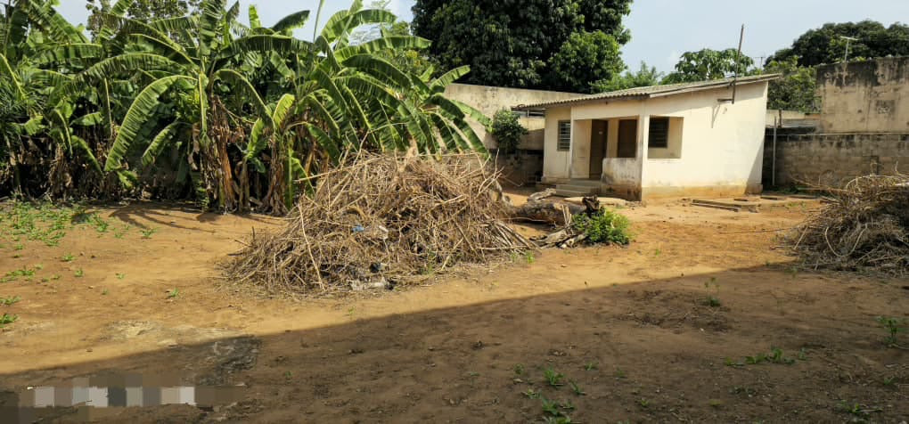 Terrain de 600 m² en vente à Tokoin Forever – 90 millions FCFA