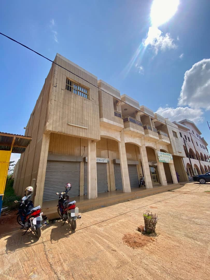 UN IMMEUBLE 5 PIÈCES + 3 BOUTIQUES À VENDRE À ADIDOGOMÉ APÉDOKOÈ