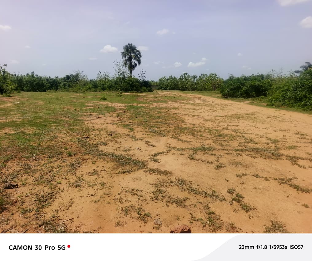 Terrain de 10,50 hectares en vente à Dalavé Adjoguidi Torokpi – 60 millions FCFA l'unité