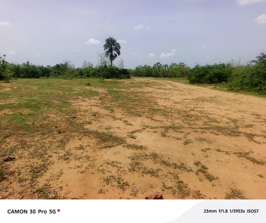 Terrain de 10,50 hectares en vente à Dalavé Adjoguidi Torokpi – 60 millions FCFA l'unité