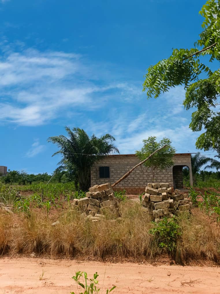 Terrain d'un demi-lot en vente à Aképédo – 7 millions FCFA