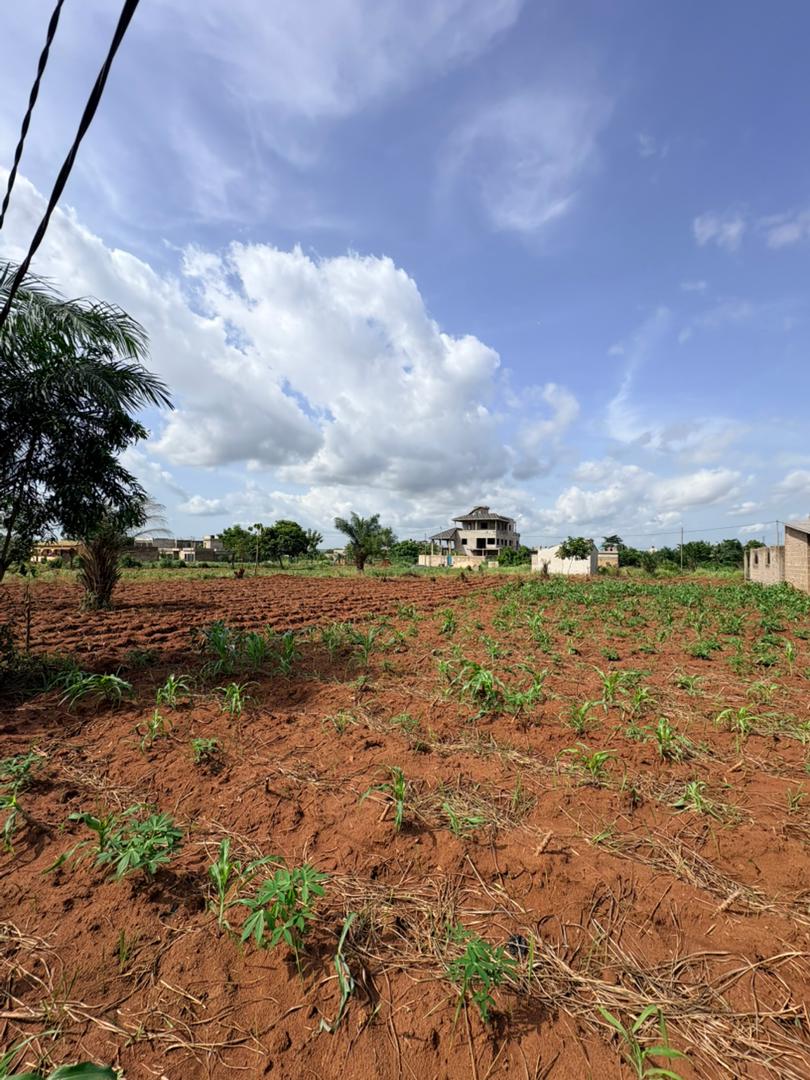 Terrain de 600 m² en vente à Apessito – 13,5 millions FCFA le lot
