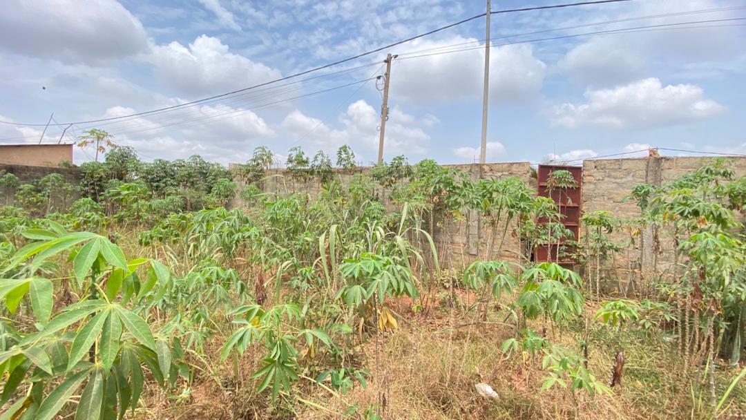 Terrain à vendre à Adidogomé Segbé Akato – 10 Millions FCFA