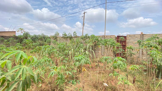 Terrain à vendre à Adidogomé Segbé Akato – 10 Millions FCFA