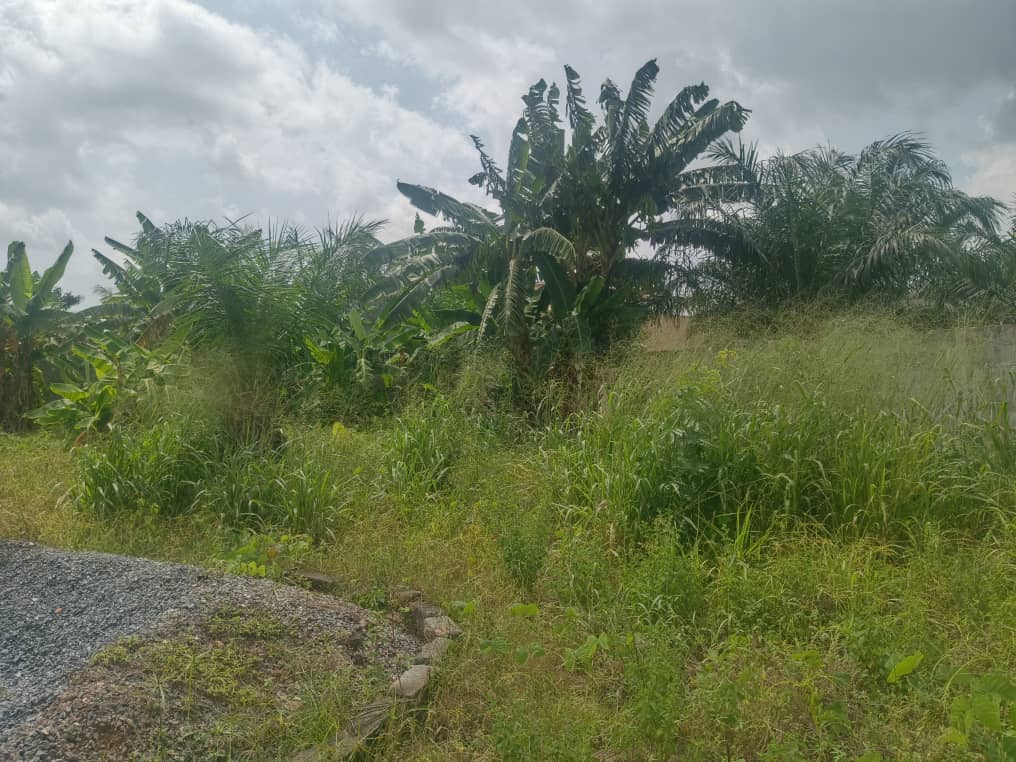 Terrain à vendre à Agoè – 30 Millions FCFA