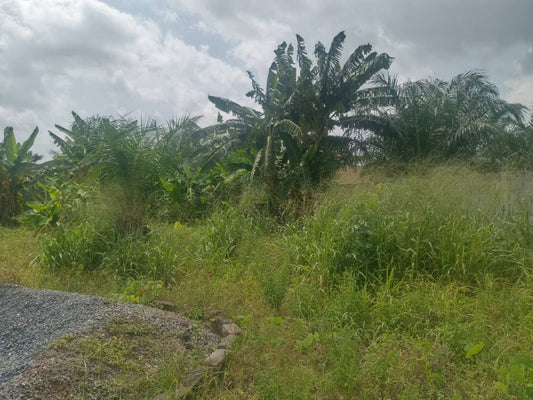 Terrain à vendre à Agoè – 30 Millions FCFA