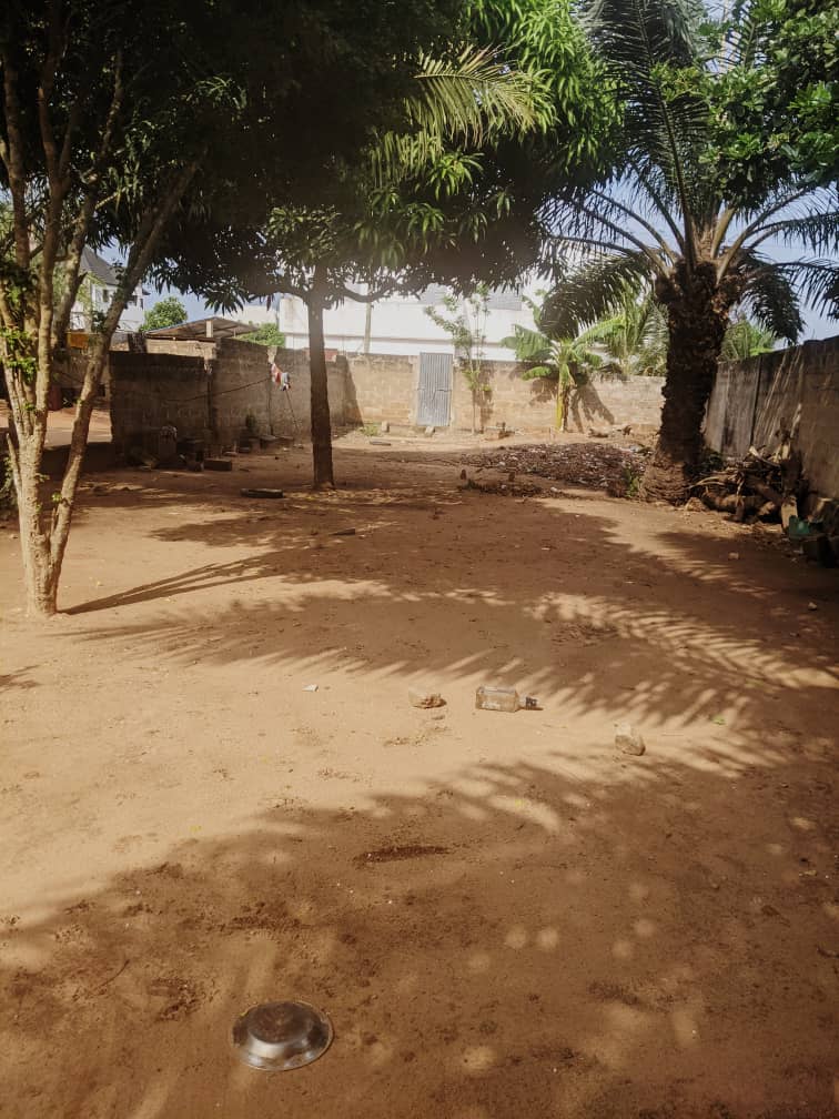 Terrain de 300 m² en vente à Adidogomé – 25 millions FCFA