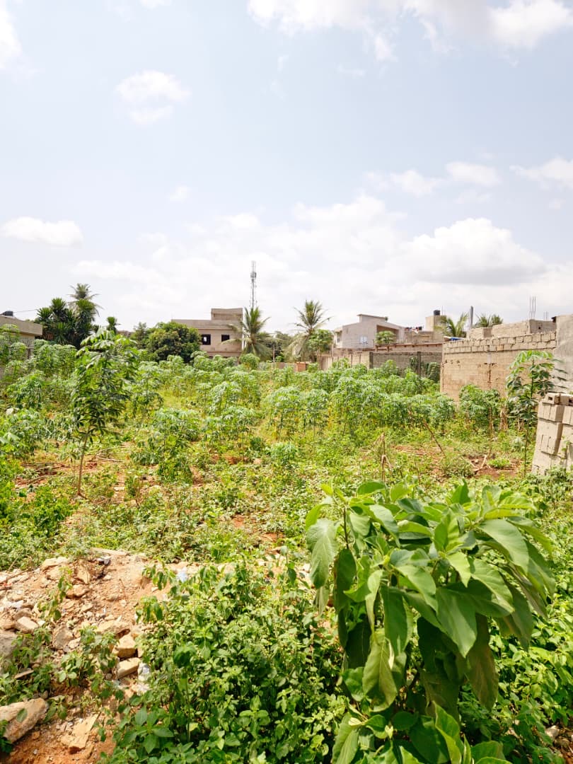 Terrain de 245 m² en vente à Legbassito – 10 millions FCFA
