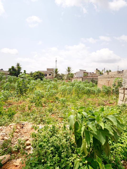 Terrain de 245 m² en vente à Legbassito – 10 millions FCFA