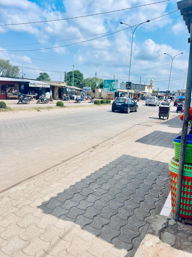 Terrain de plus de 1 lot (663 m²) en vente à Tokoin Adéwui – 130 millions FCFA