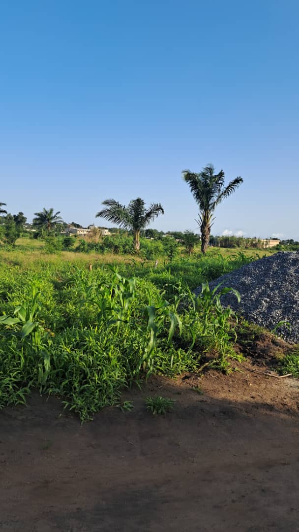 Terrain de 20 lots en vente à Adétikopé Kpotavé – 13 millions FCFA