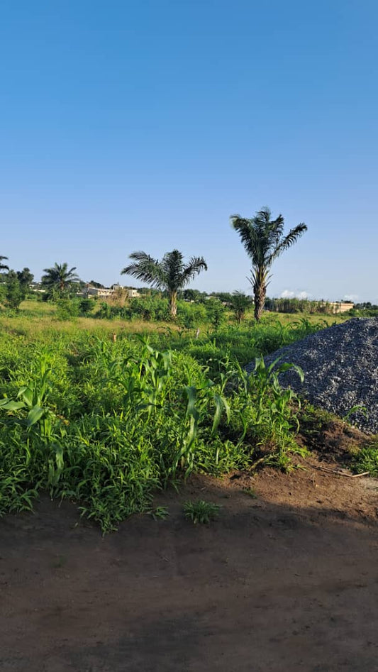 Terrain de 20 lots en vente à Adétikopé Kpotavé – 13 millions FCFA