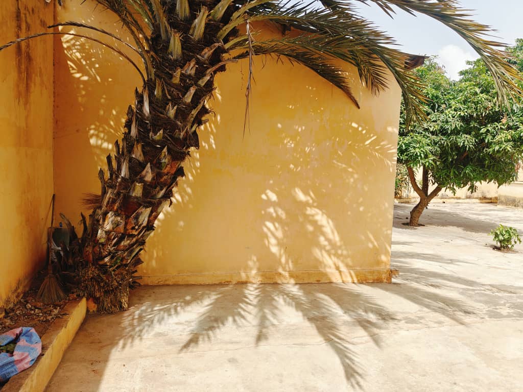 Terrain 1 lot en vente à Agoè Assiyéyé – 42 millions FCFA
