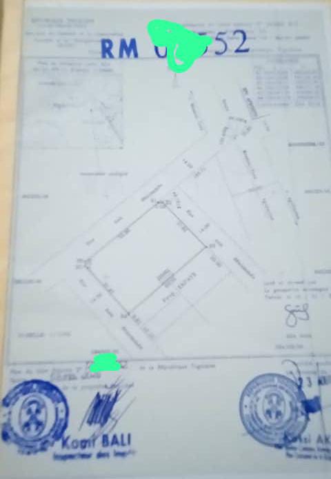 Terrain de 4 lots en vente à Apessito – 120 millions FCFA