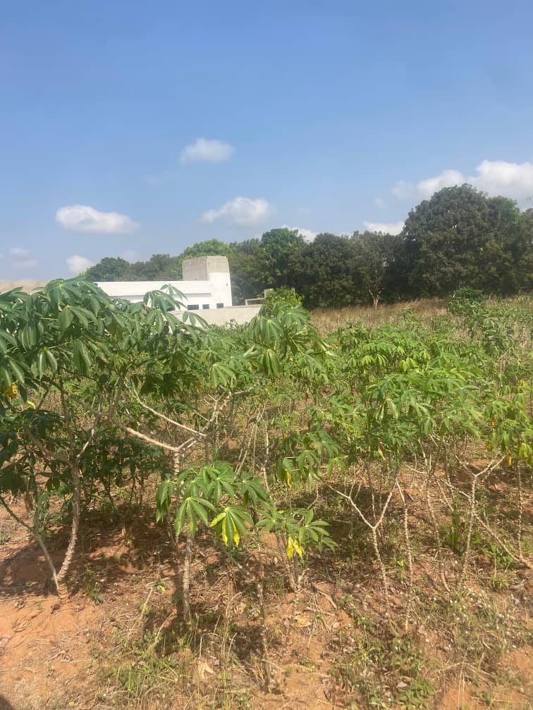 Terrain de 1200 m² en vente en bord du goudron à Aného – Prix à partir de 11 millions FCFA le lot