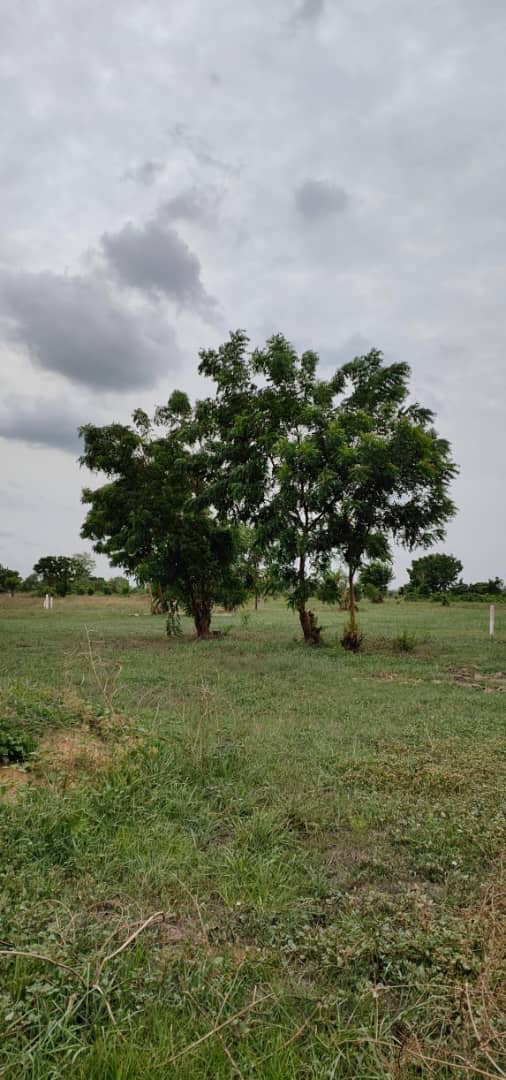 À VENDRE : 55 LOTS DISPONIBLES À ADÉTIKOPÉ TONOUKOUTI (ADOU-GODO)
