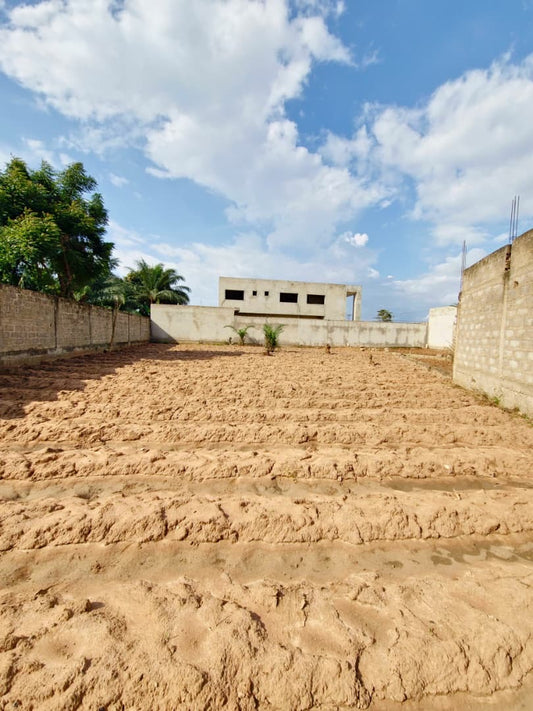 Terrain à vendre à Légbassito-Zovadjin – 15 Millions FCFA