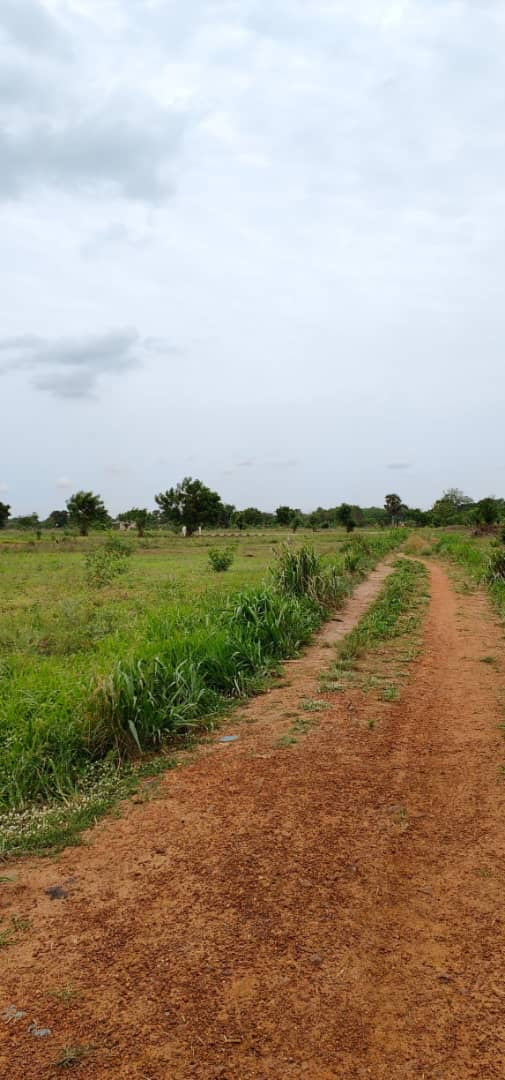 À VENDRE : 55 LOTS DISPONIBLES À ADÉTIKOPÉ TONOUKOUTI (ADOU-GODO)