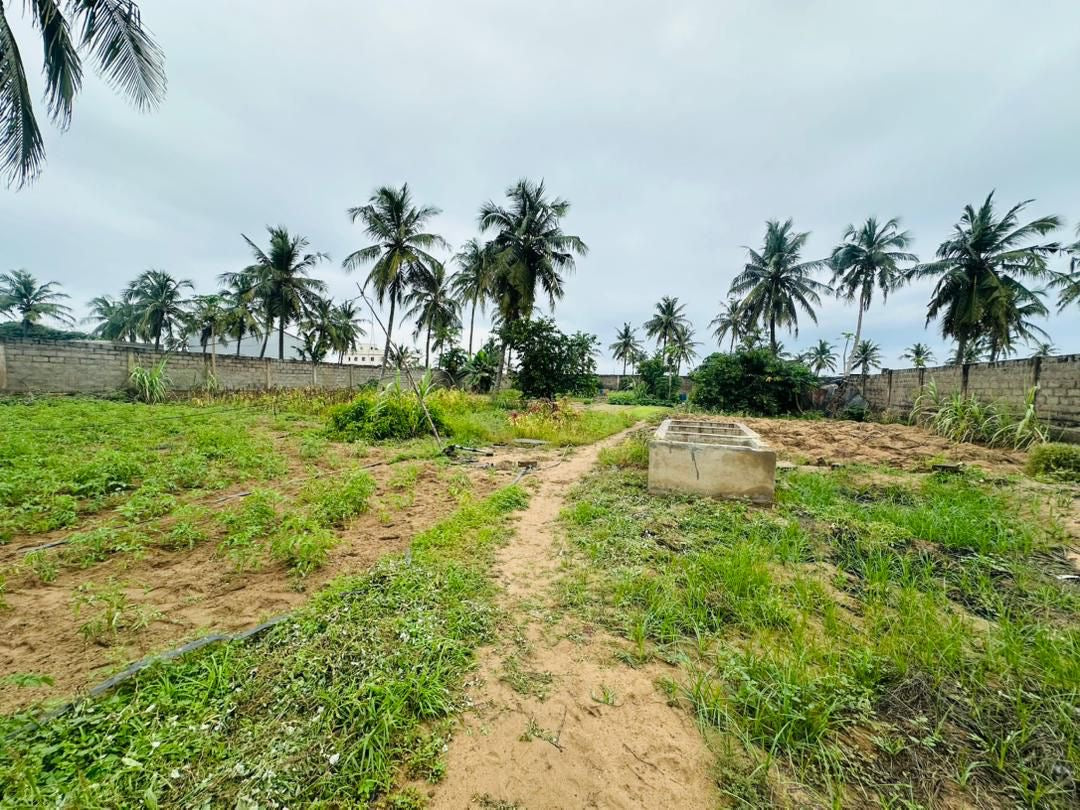 Terrain de 4 lots et quart à vendre à Kpogan – 20 millions FCFA le lot