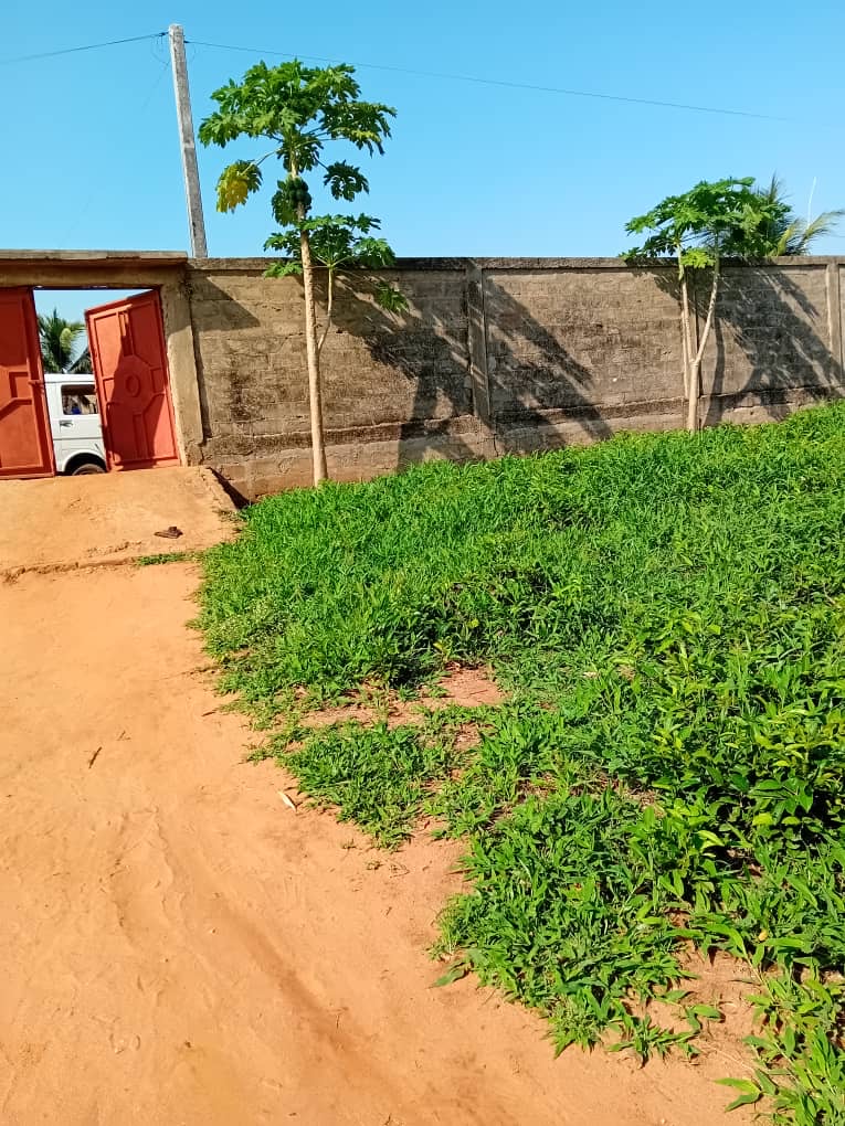 TERRAIN À VENDRE À DJAGBLÉ 200M DU GOUDRON