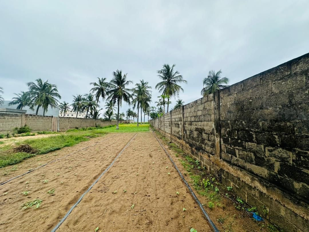 Terrain de 4 lots et quart à vendre à Kpogan – 20 millions FCFA le lot