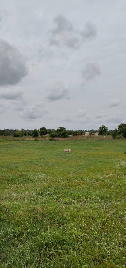 À VENDRE : 55 LOTS DISPONIBLES À ADÉTIKOPÉ TONOUKOUTI (ADOU-GODO)