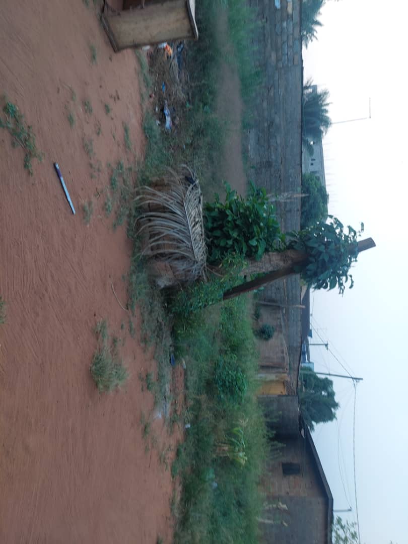 Terrain à vendre à Agoè – 21500000 FCFA