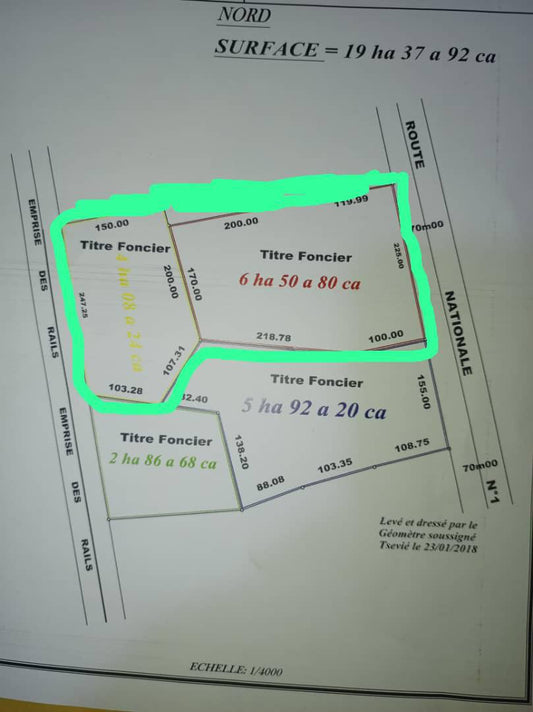 Terrain de 6 hectares en vente à Tsévié Lilikopé en bordure de goudron – 30 millions FCFA