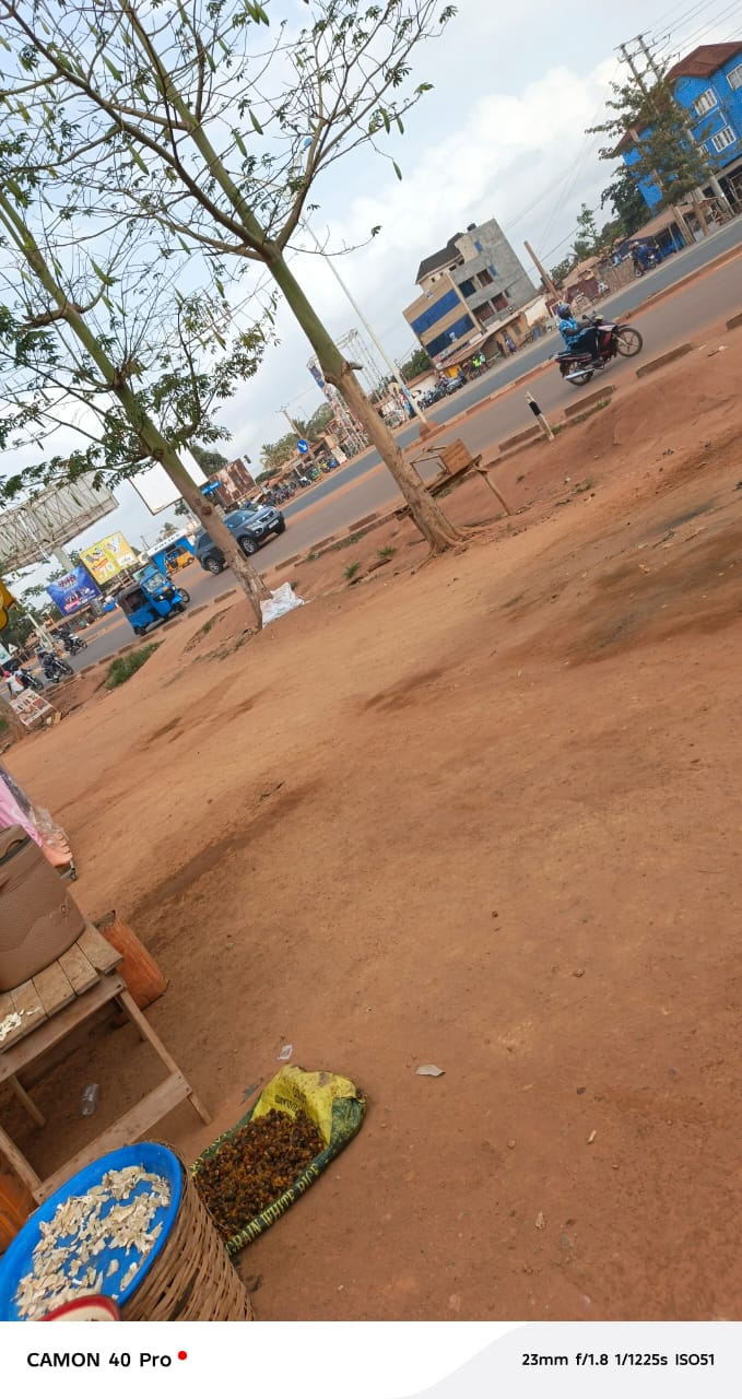 Terrain à vendre à Agoè – 46 Millions FCFA