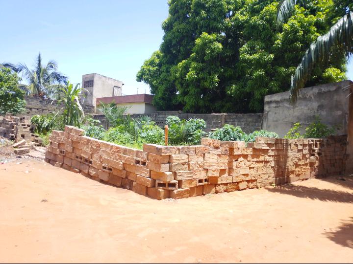 Terrain d'un demi-lot clôturé en vente à Avedji Komla Mali – 25 millions FCFA