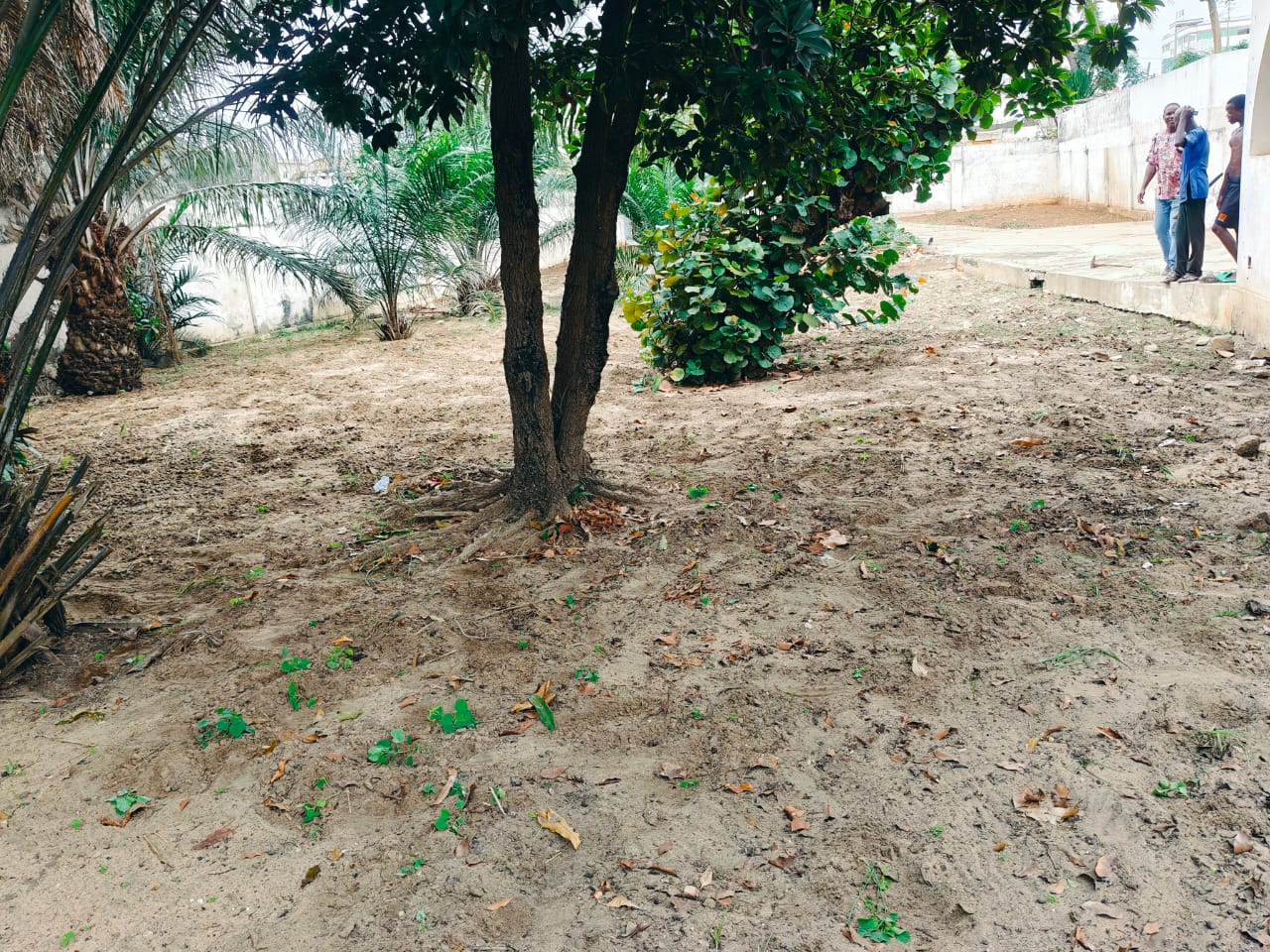 Terrain de 998 m² en vente à Super Taco – 65 millions FCFA