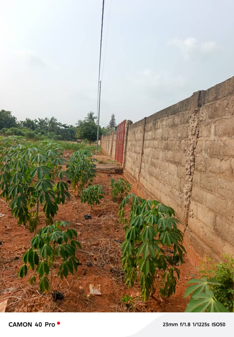 Terrain à vendre à Adidogomé – 55 Millions FCFA