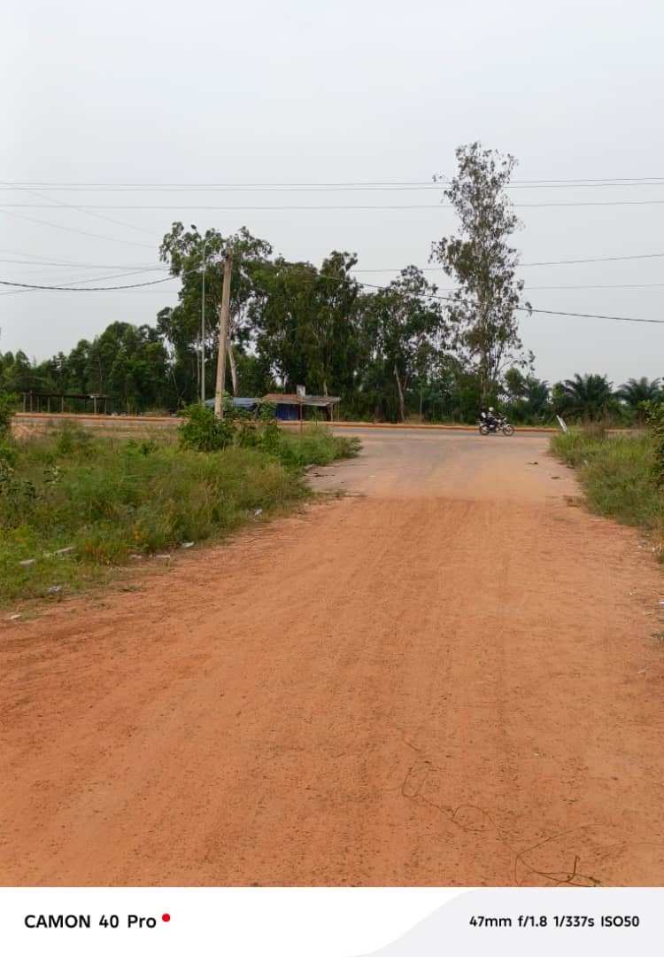 Terrain 1/2 lot en vente à Zanguéra – 10 millions FCFA