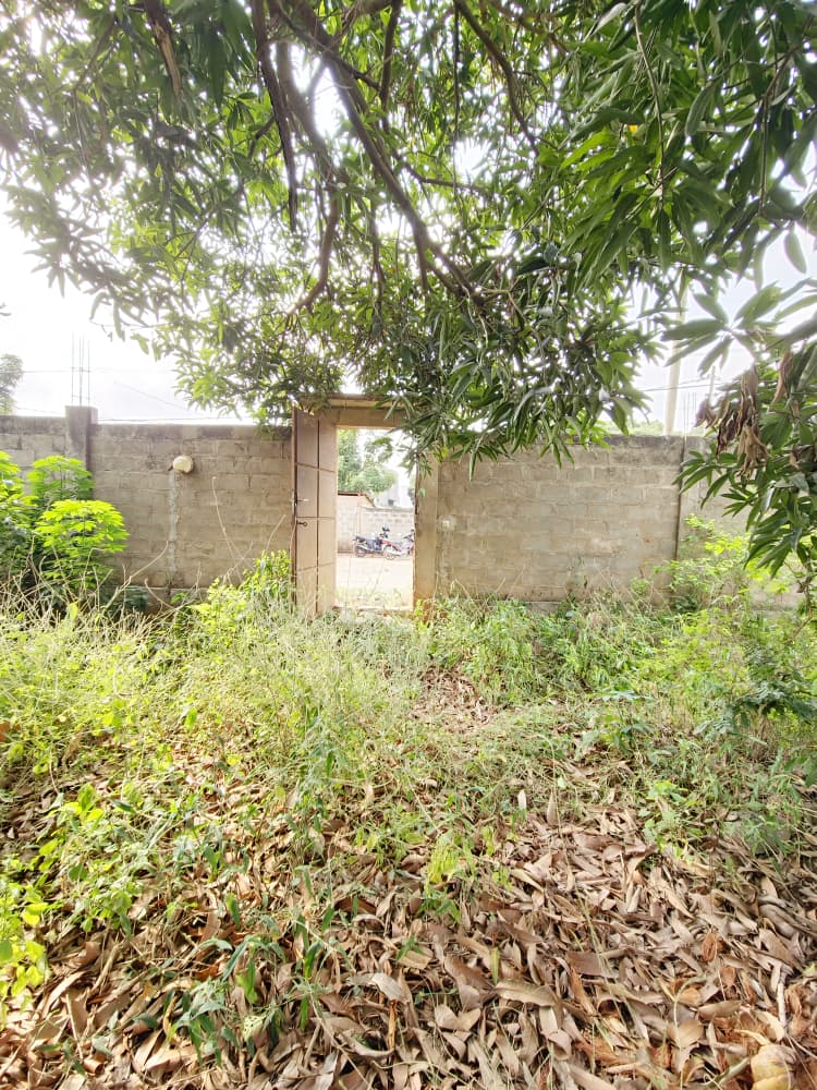 Terrain à vendre à Agoé – 60 Millions FCFA