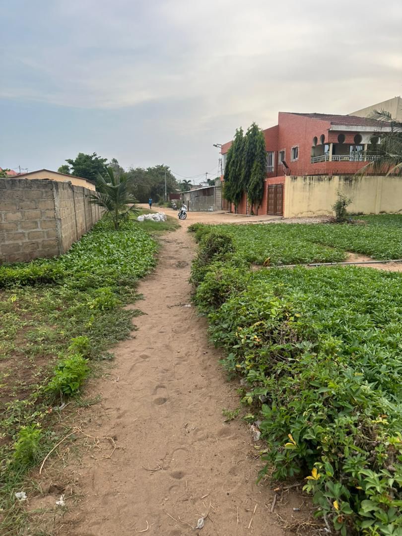 Terrain de 2 lots en vente à Baguida – 50 millions FCFA le lot