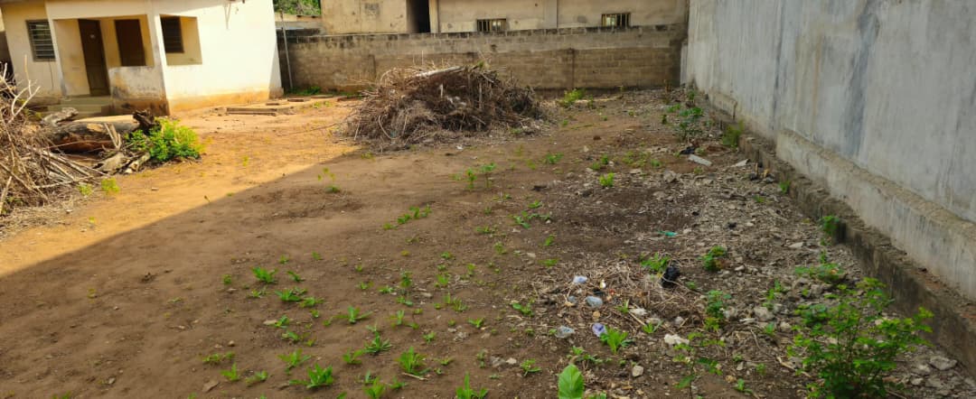 Terrain de 600 m² en vente à Forever – 90 millions FCFA