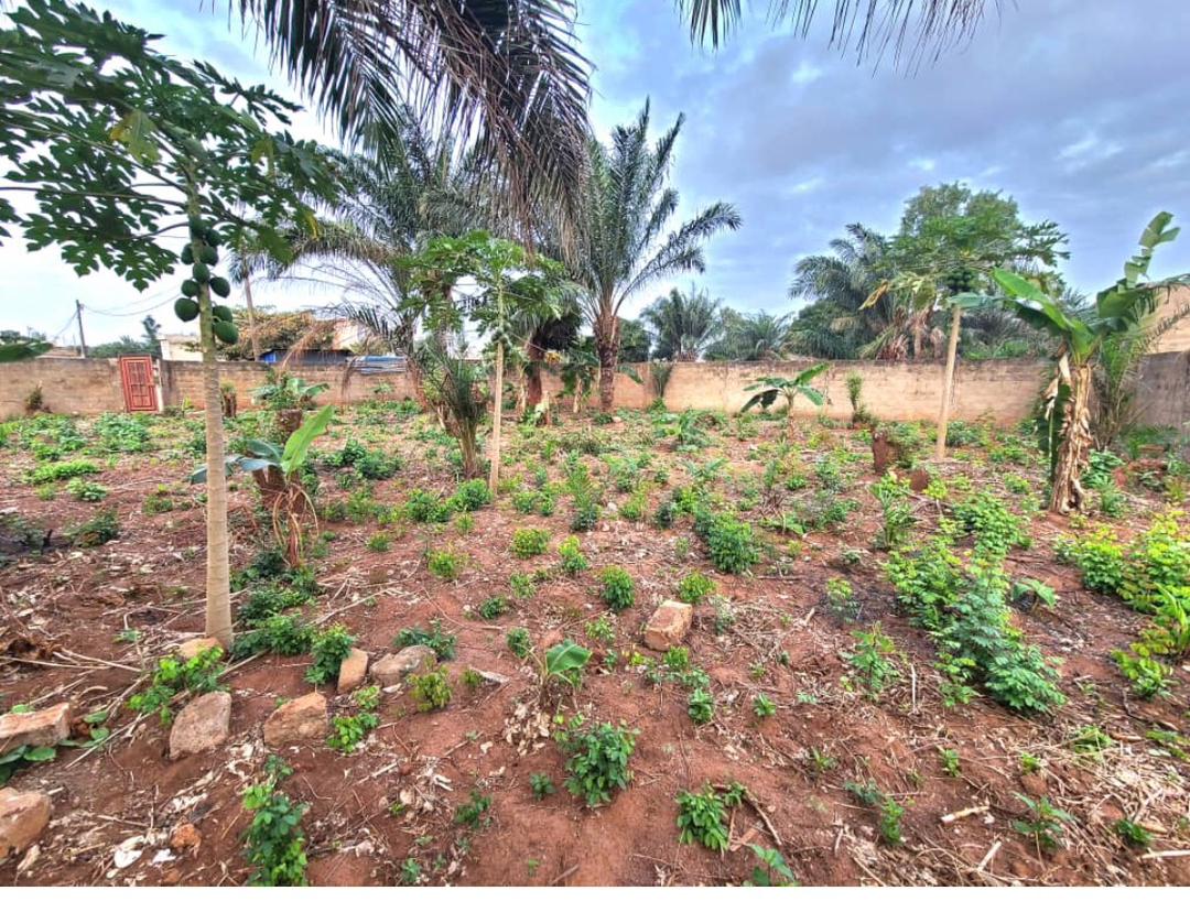 Terrain de 1 lot en vente à Agoè Logopé – 32 millions FCFA