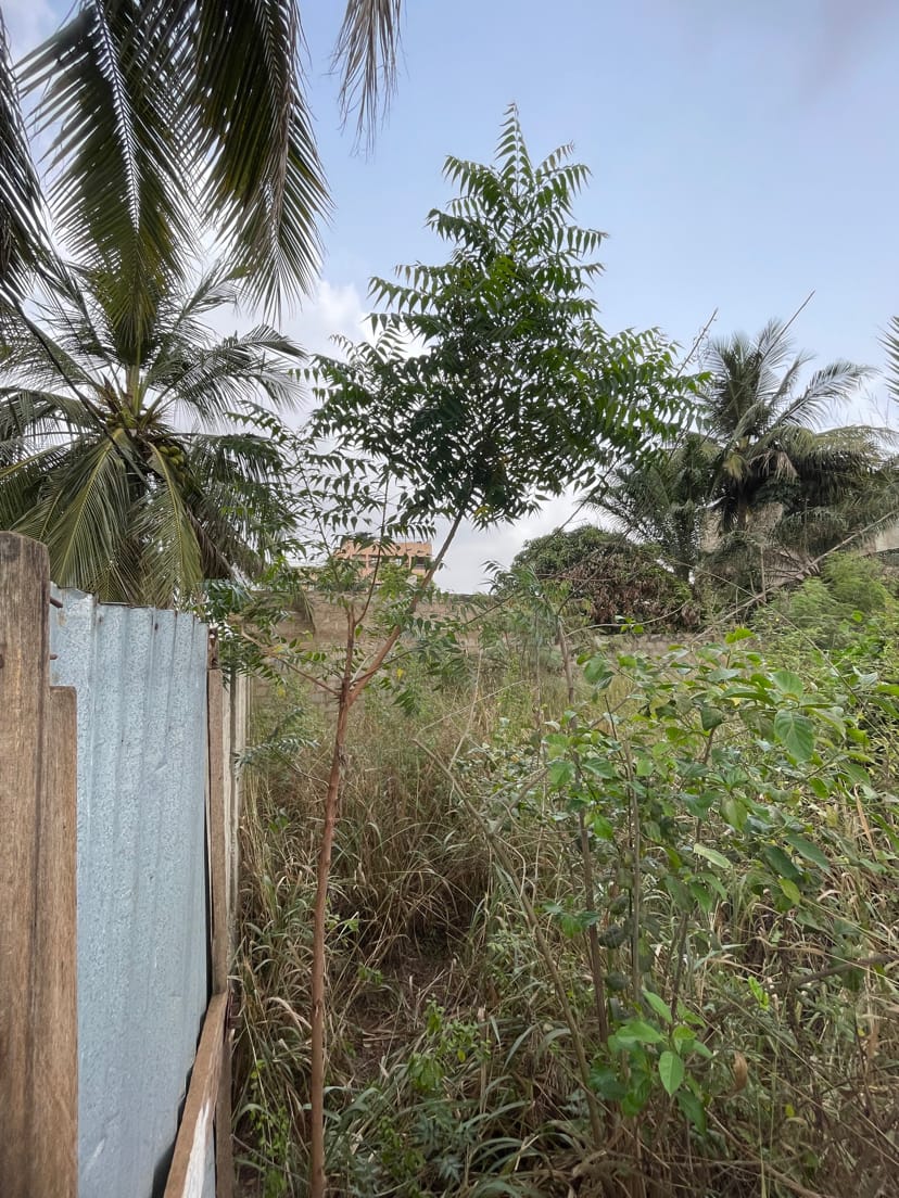 Terrain à vendre à Amadahomé – 30 Millions FCFA