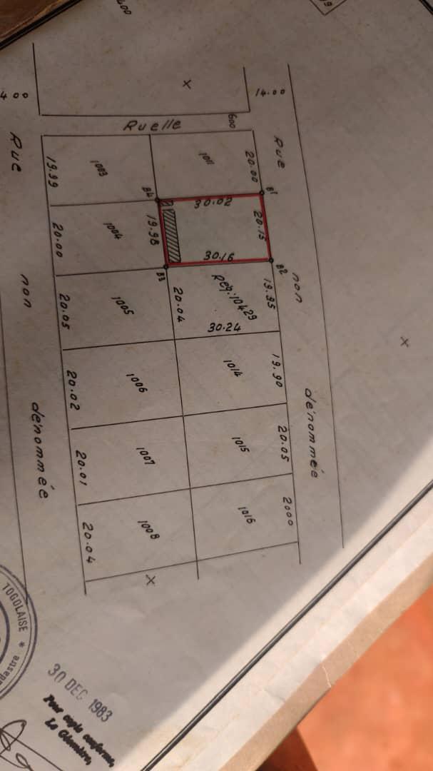 Terrain de 600 m² en vente à Djidjolé – 100 millions FCFA