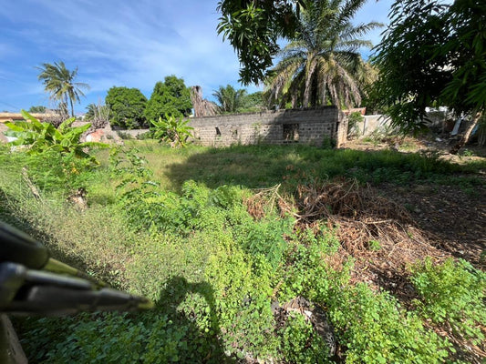 Terrain de 2 lots en vente à Tokoin – 85 millions FCFA