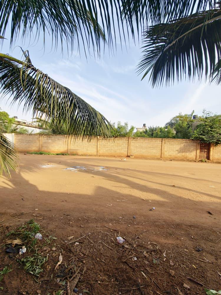 Terrain de 900 m² en vente à Agoè Sogbossito Anokui – 55 millions FCFA