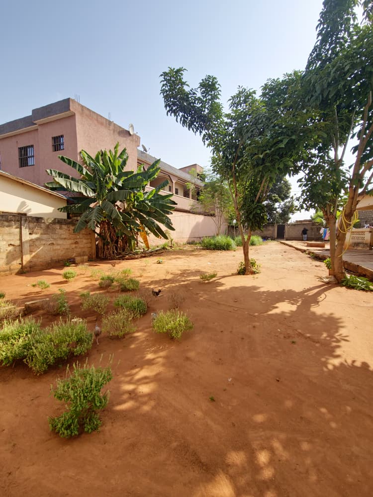 Terrain de 1 lot avec construction chambre salon wc douche clôturé à vendre à Agoè Sogbossito Somayaf – 38 millions FCFA