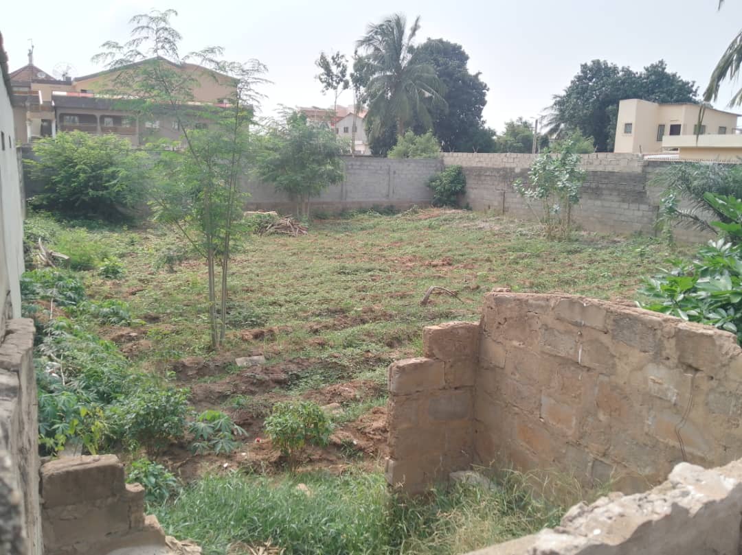 Terrain à vendre à Totsi – 50 Millions FCFA