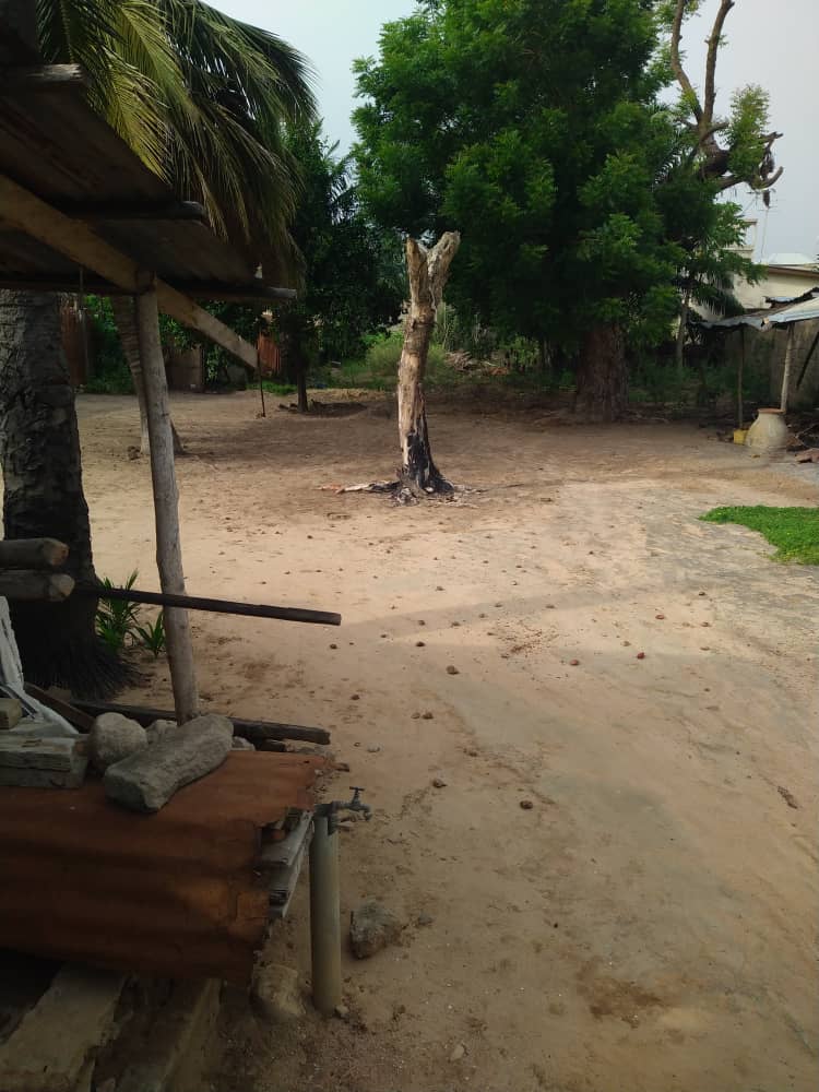 Terrain de 800 m² en vente à Agbalepedo – 70 millions FCFA