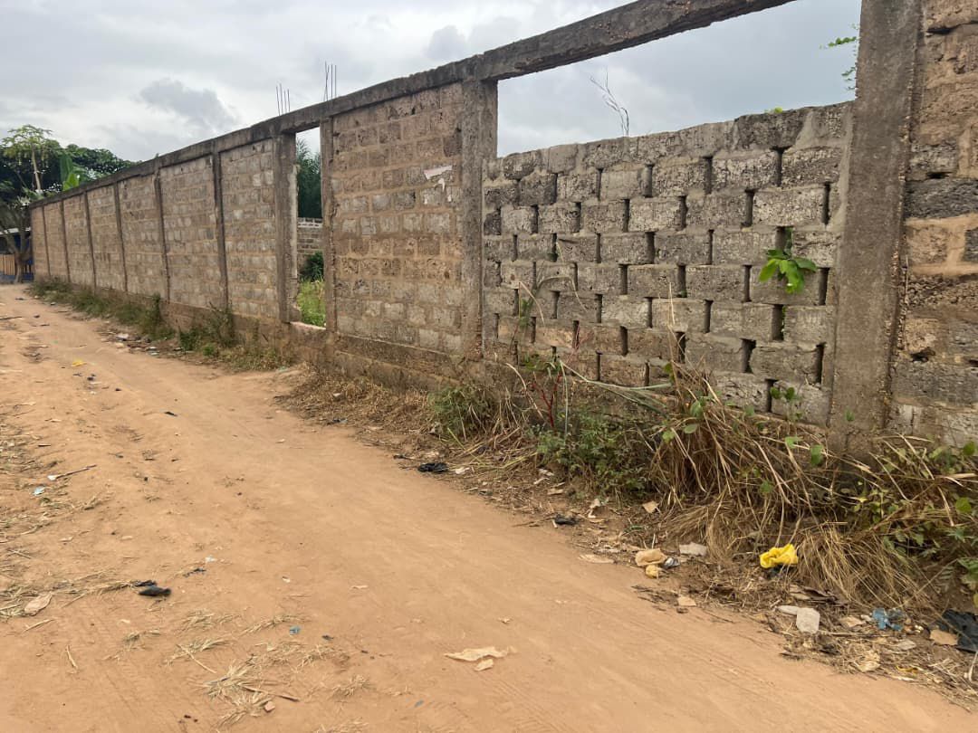Terrain de 1500 m² en vente à Zanguéra Klikamé – 55 millions FCFA