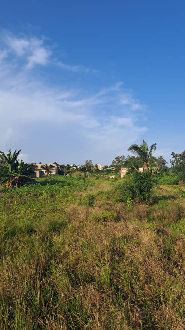 Terrain de 20 lots en vente à Adétikopé Kpotavé – 13 millions FCFA