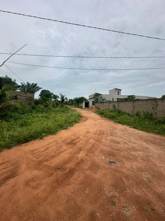 Terrain 1 lot en vente à Avedji Ametossimé – 60 millions FCFA