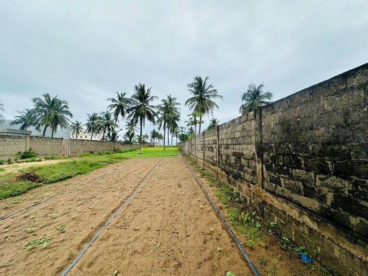Terrain de 4 lots et 1/4 en vente à Kpogan Agodeke – 25 millions FCFA le lot