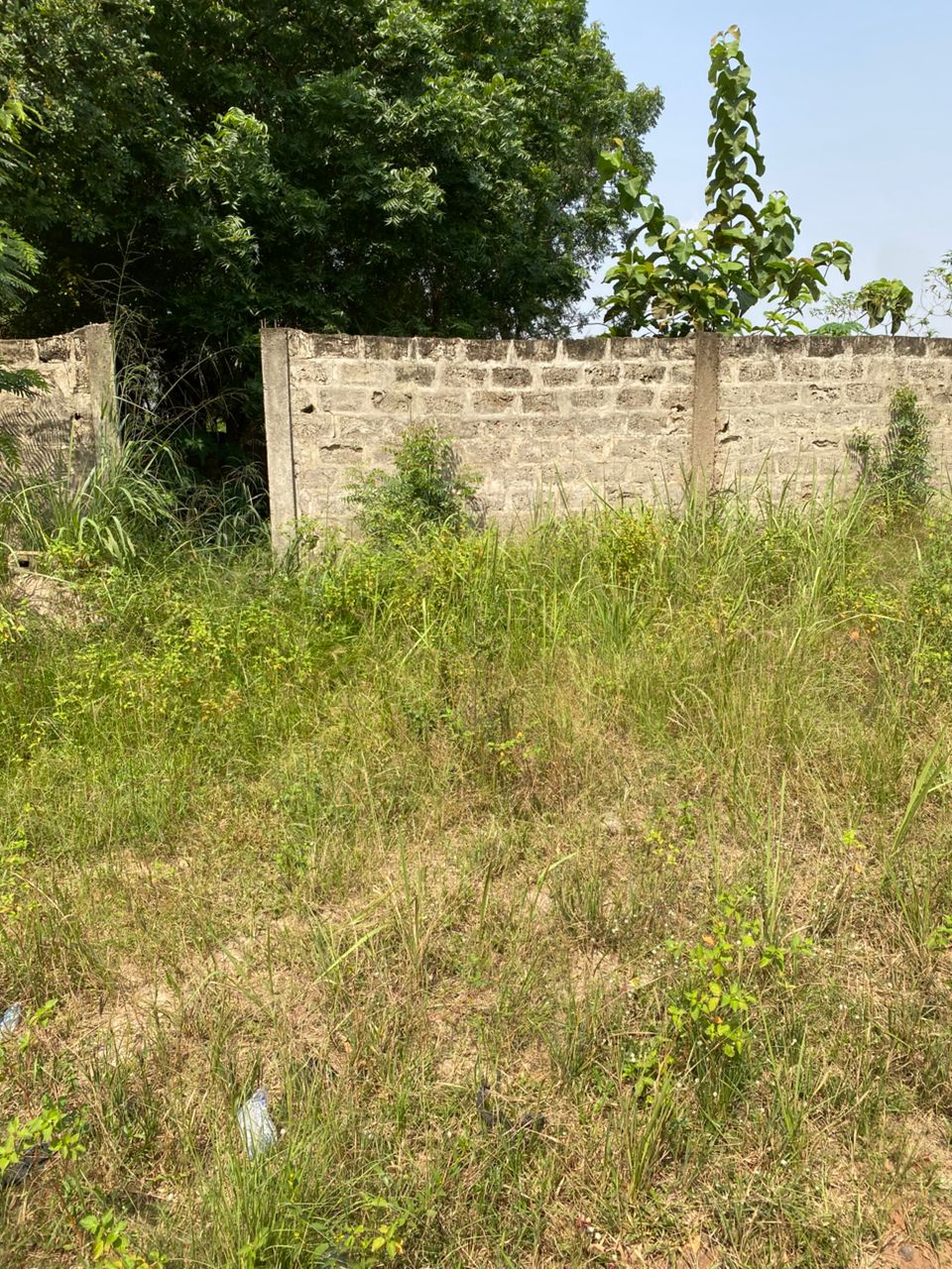 Demi lot clôturé en vente à Legbassito Assiko – 8 millions FCFA